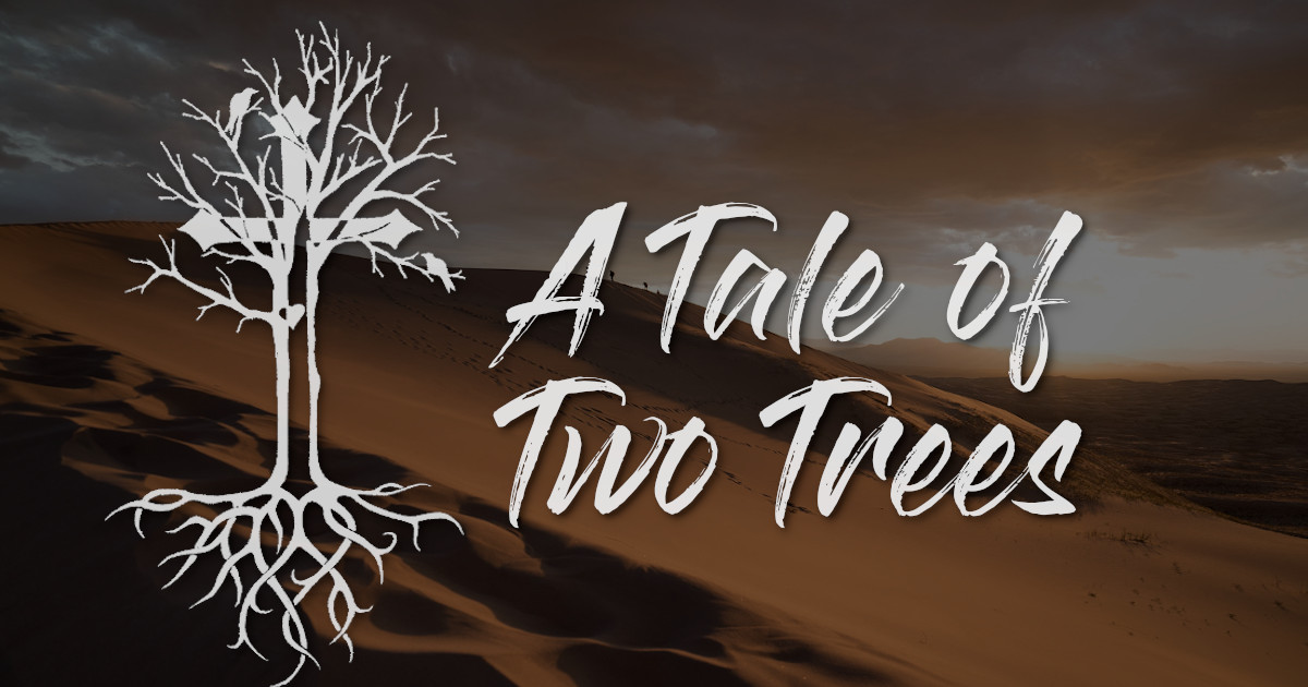 A Tale of Two Trees